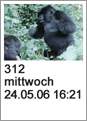 312 mittwoch 24.05.06 16:21