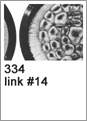 334 link#14