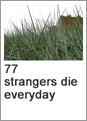 77 strangers die everyday