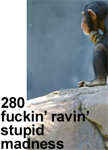 280 fuckin' ravin' stupid madness